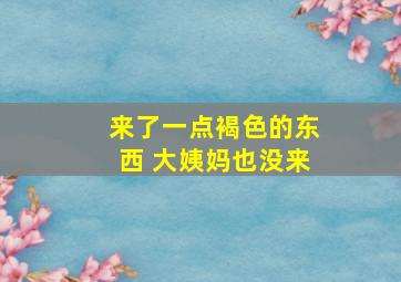 来了一点褐色的东西 大姨妈也没来